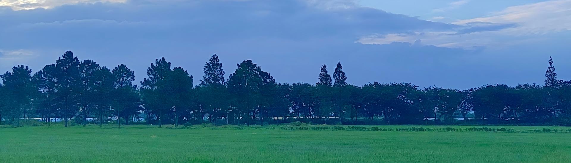 bannaer
